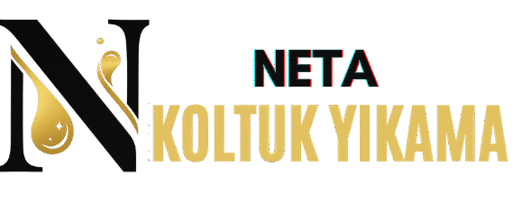 Neta  Koltuk Yıkama